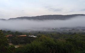 Flor da serra